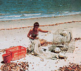 Homesteading on a South Sea Island Image